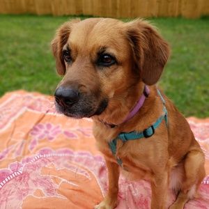 Meet your Posher, Brandon